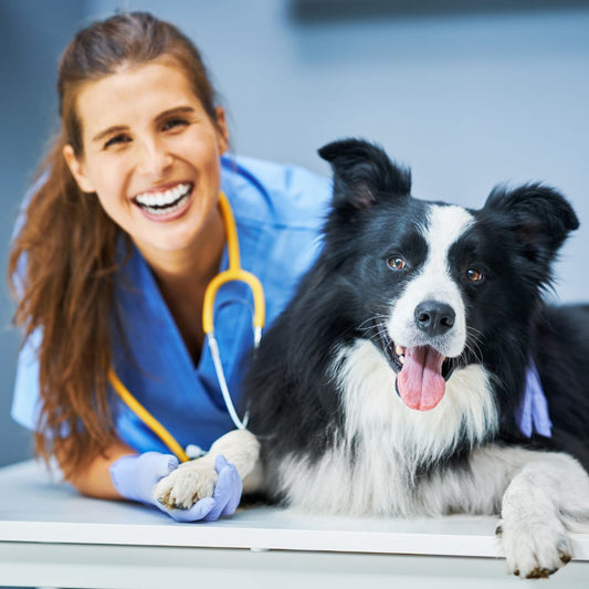 What to Ask Your Vet - Raw Cut