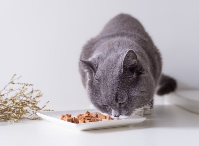 Cats & Meat - Raw Cut UAE
