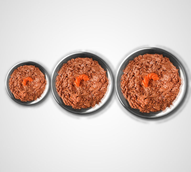 Switching dog to raw food Dubai UAE — Raw Cut