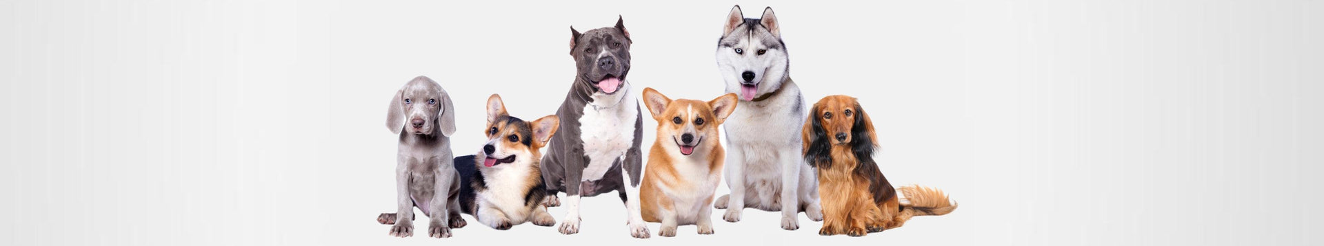 Hypoallergenic Range for Dogs - Raw Cut