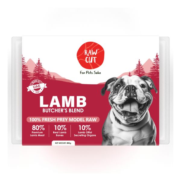 All Dog Meals