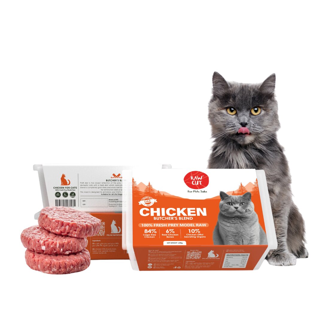Cat Starter Hamper