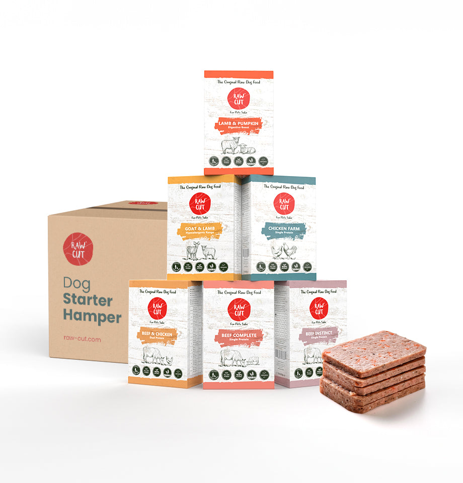 Dog Starter Hamper