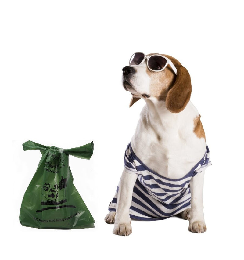 Raw fed dog poo guide Dubai UAE — Raw Cut