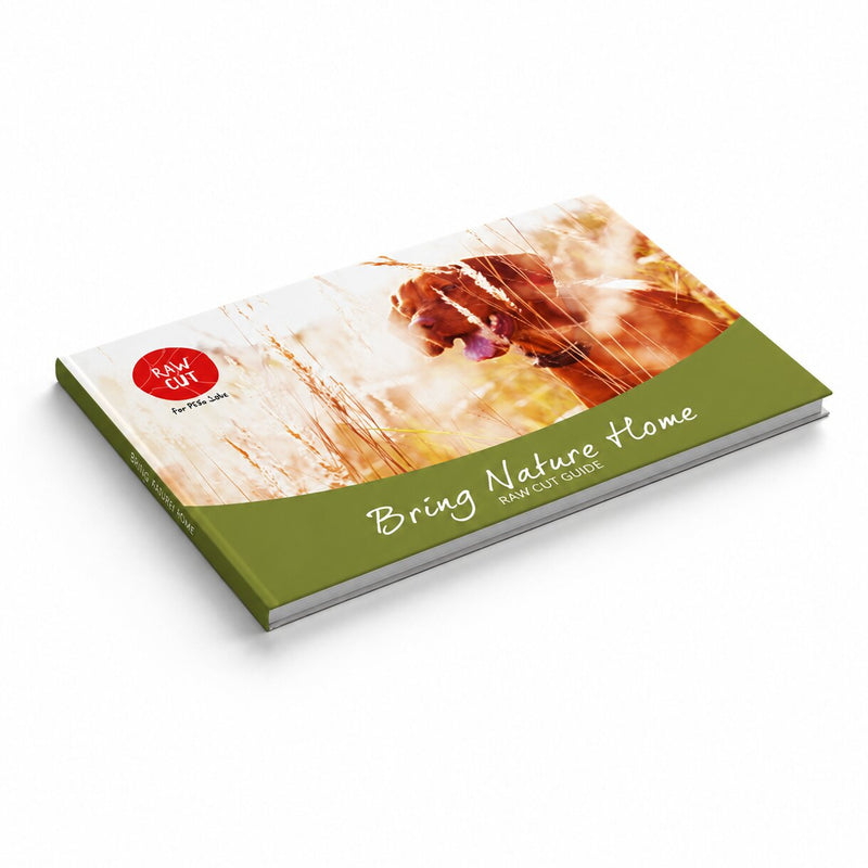 Raw Cut Guide - Raw Cut UAE