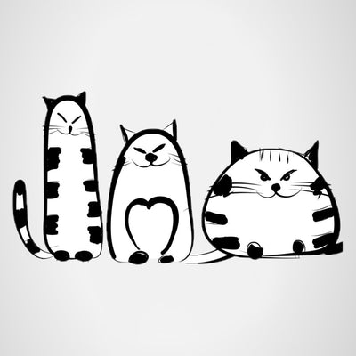 Ideal Cat Weight - Raw Cut UAE