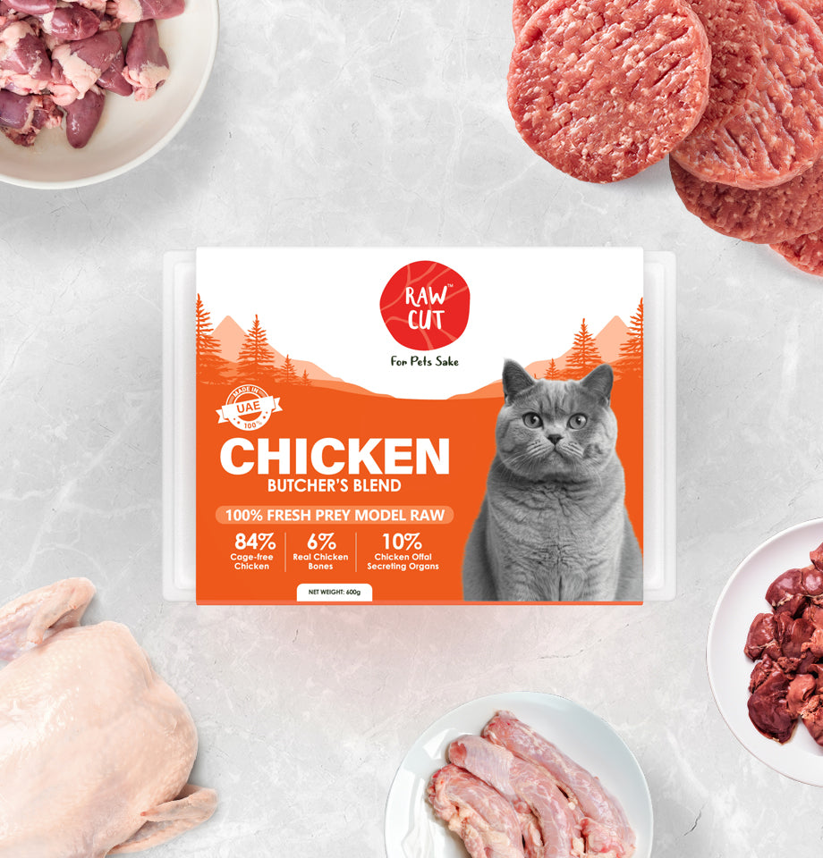 Prey Model Raw Chicken Meals For Dogs in the UAE