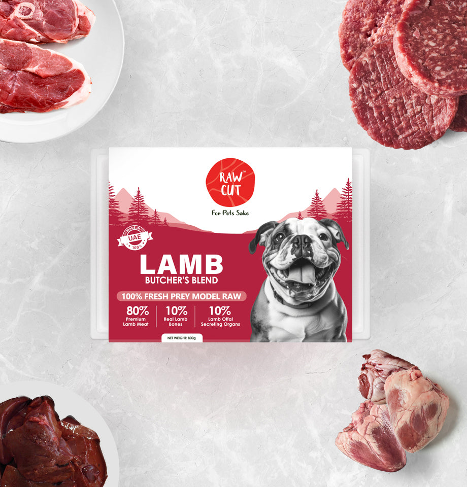 Prey Model Raw Lamb Meals For Dogs in the UAE - Main Image