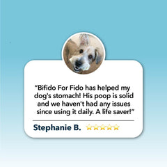 Bifido For Fido - Gut Health For Dogs - Raw Cut