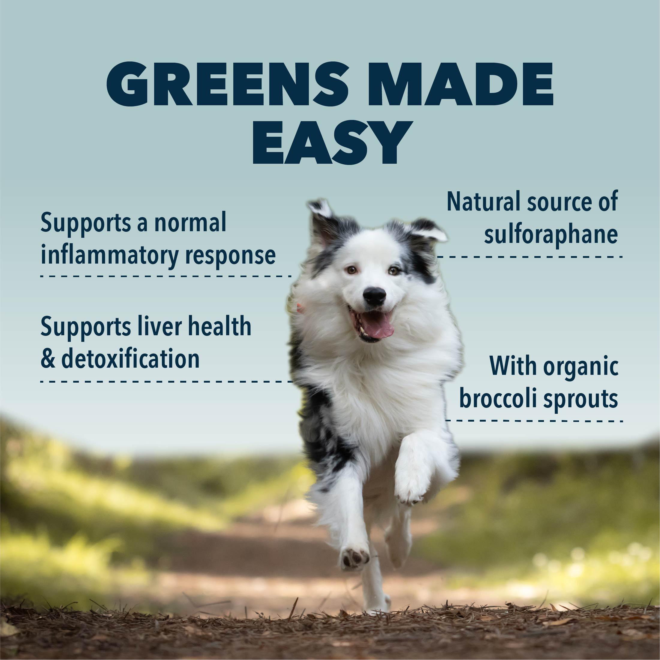 Green Rover - Broccoli Sprouts & Ferment For Dogs - Raw Cut